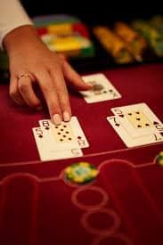win win bet